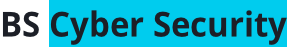 BS Cyber Security